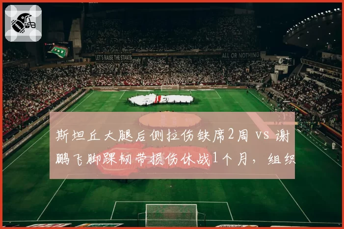 斯坦丘大腿后侧拉伤缺席2周 vs 谢鹏飞脚踝韧带损伤休战1个月,组织核心伤停时长倒挂